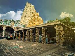 MALLIKARJUNA Image